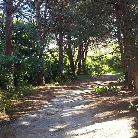 Cigale 1 * Argelès-sur-Mer