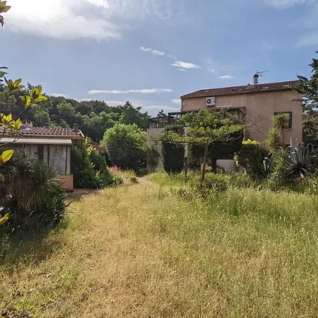 Cigale 1 Argelès-sur-Mer