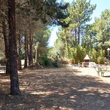 Apartment Cigale 1 Argelès-sur-Mer