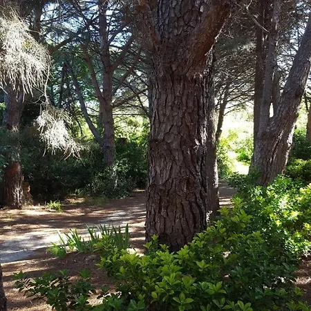 Cigale 1 Apartment Argelès-sur-Mer