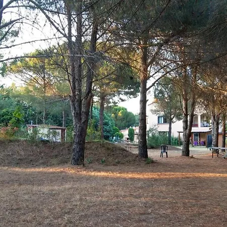 Cigale 1 Argelès-sur-Mer
